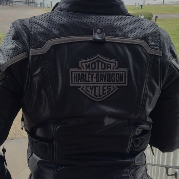 Meet your Posher, Harley - Picture 1 of 1